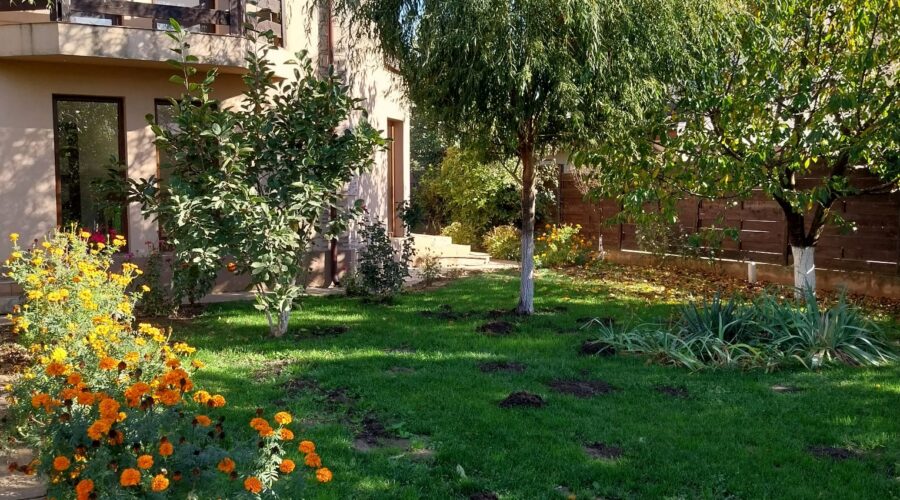 Casă de vânzare Domnești Teghes – proprietate individuală, zonă verde, aproape de București - 243.000 EUR - Domnesti, Ilfov - 3 camere - 150 m²