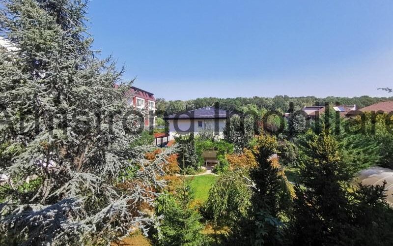 Apartament 2 Camere de Vanzare in Zona de Nord Pipera – Aproape de Lidl - 200.000 EUR - Pipera, Ilfov - 1 camere - 100 m²