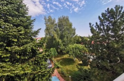Vila cu piscina si gradina superba de 2600 mp in Domnesti stradal - 650.000 EUR - Domnesti, Ilfov - 6 camere - 460 m²