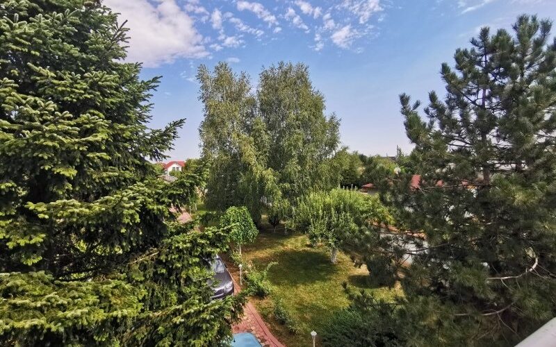Vila cu piscina si gradina superba de 2600 mp in Domnesti stradal - 650.000 EUR - Domnesti, Ilfov - 6 camere - 460 m²