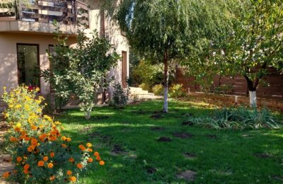 Casă de vânzare Domnești Teghes – proprietate individuală, zonă verde, aproape de București