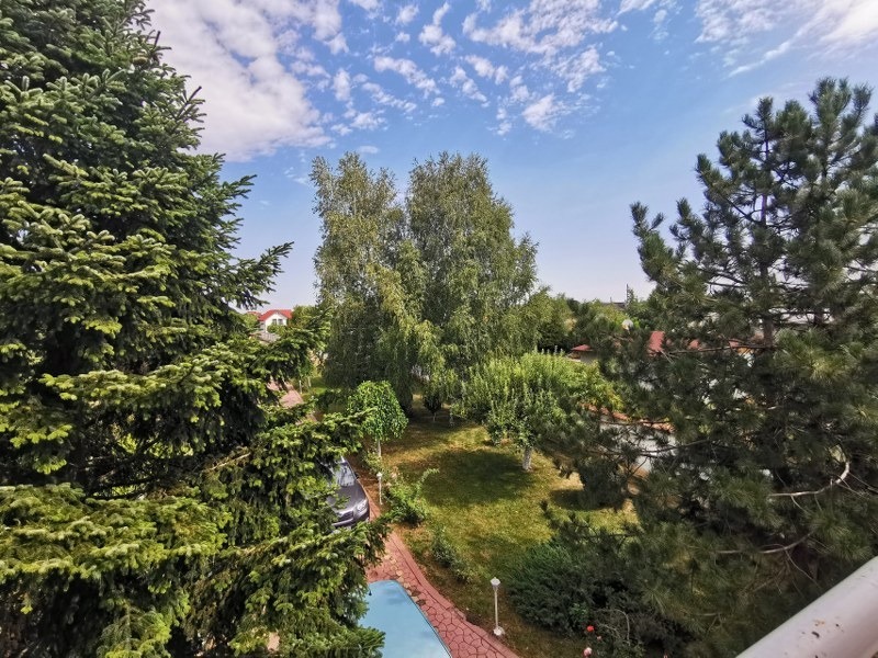 Vila cu piscina si gradina superba de 2600 mp in Domnesti stradal – fotografia 2