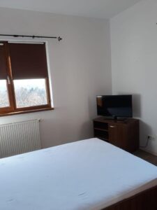 Inchiriere Apartament 2 camere Tineretului – fotografia 1
