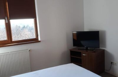 Inchiriere Apartament 2 camere Tineretului
