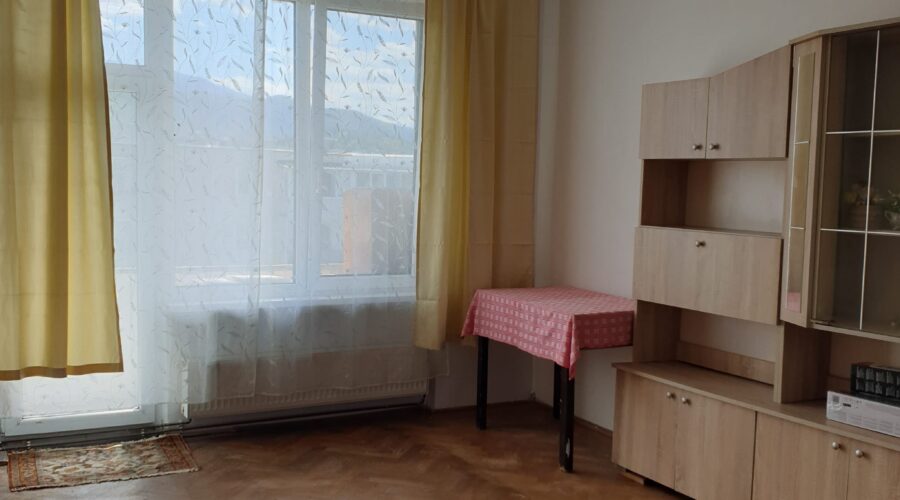 Apartament 2 camere de vânzare Brașov, Cartier Tractorul, str. Octavian Goga, Tractorul, Brașov – fotografia 2