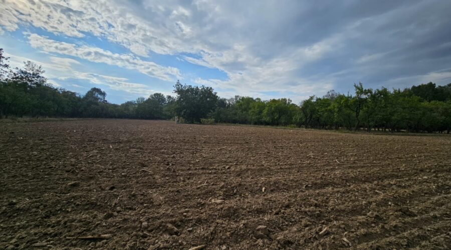 Casa si teren in com.Barla, Sat.Urluieni nr.150 – fotografia 3