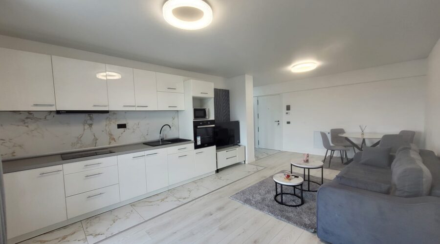 Apartament Emil Rcaovita – fotografia 3