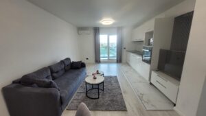 Apartament Emil Rcaovita – fotografia 4