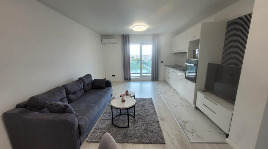 Apartament Emil Rcaovita – fotografia 4